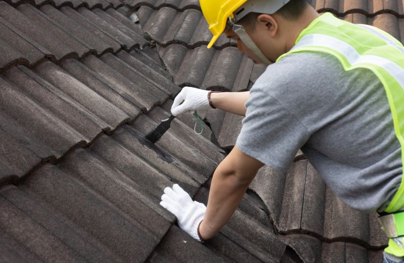 Roof Repair Projects